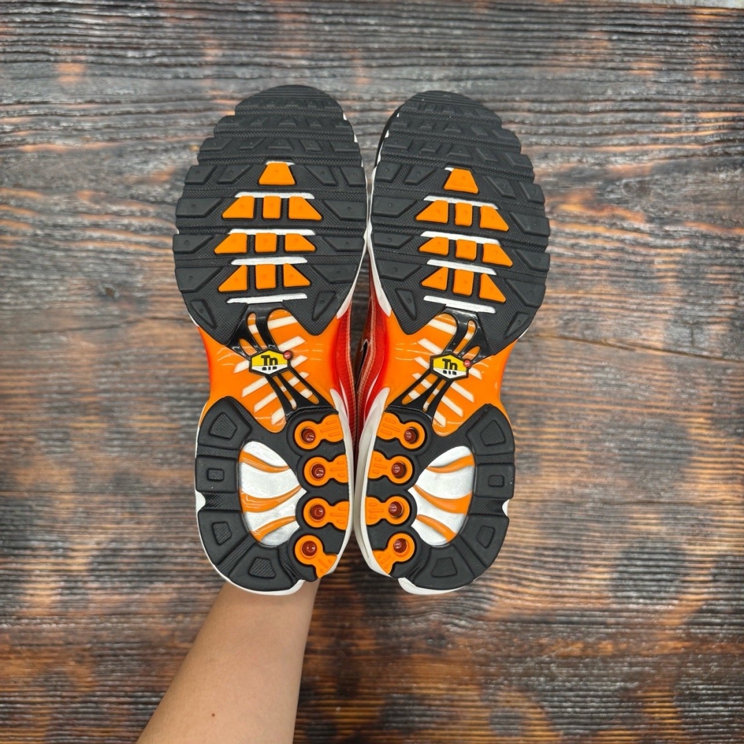 AM PLUS LIGHT PHOTOGRAPHY DS FB