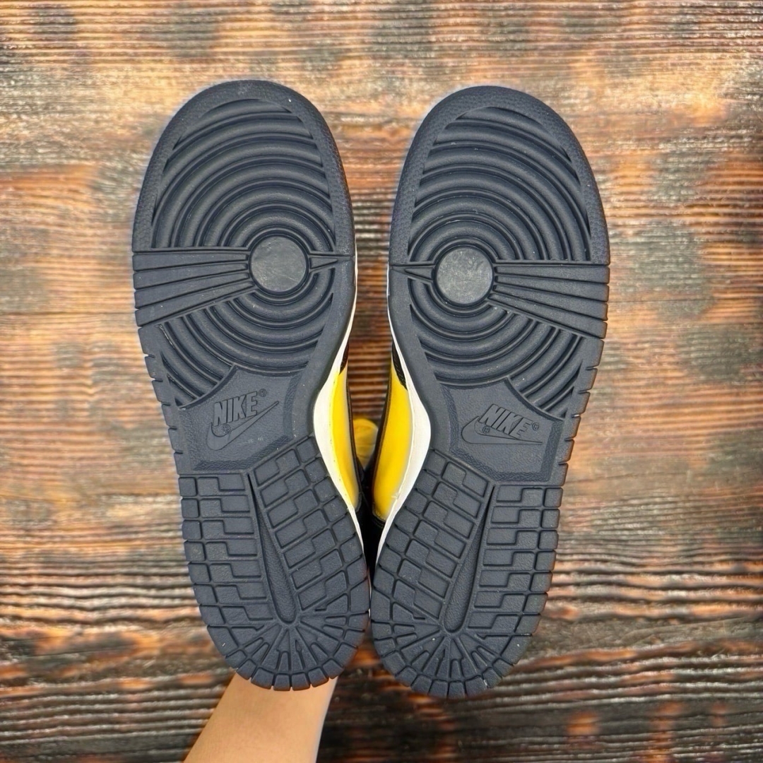 Du163 - Dunk Hi Michigan Ds Fb - 42