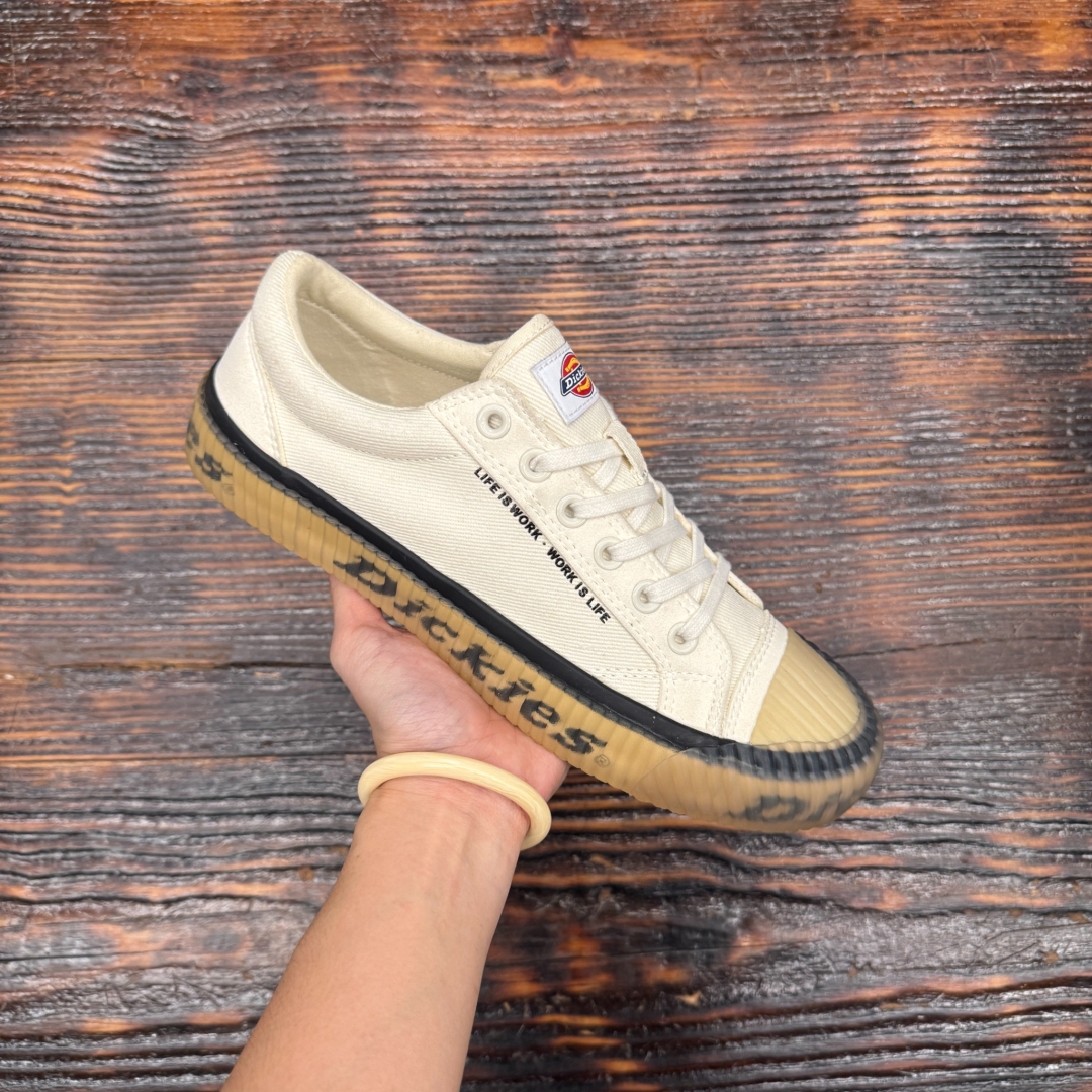 CS4337 - DICKIES CREAM - 42